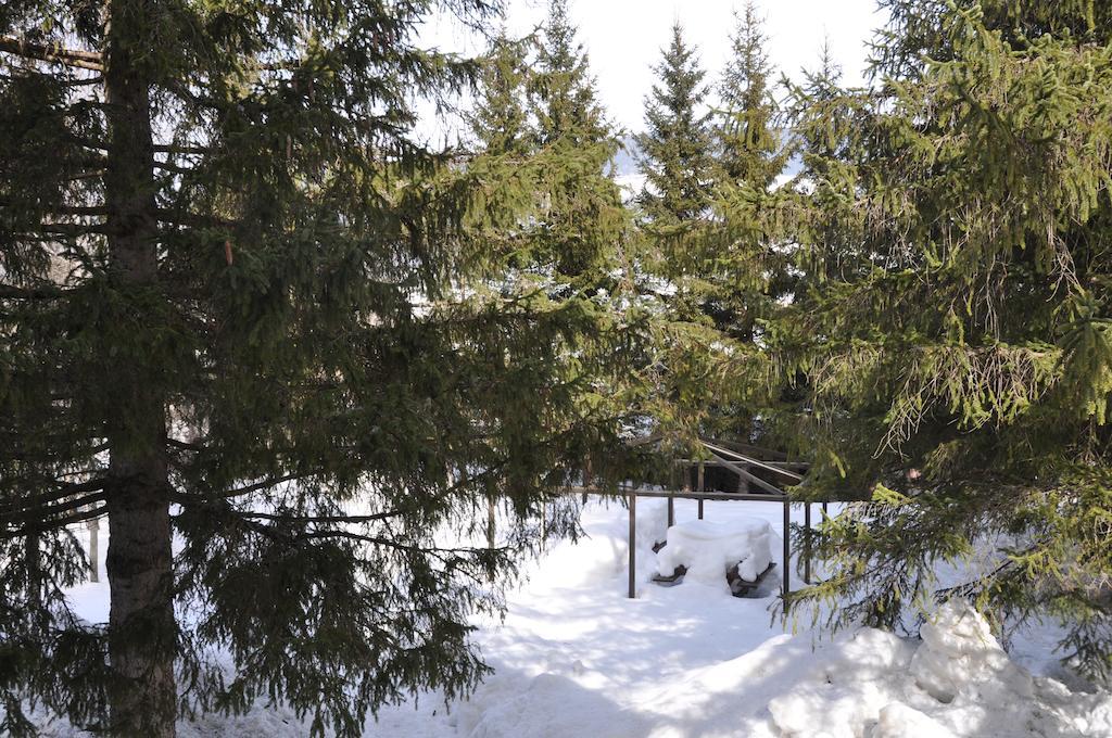 Casa Alpina Dobbiaco Otel Dış mekan fotoğraf