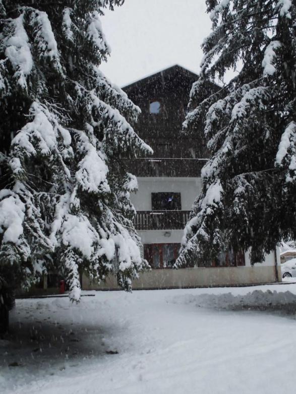 Casa Alpina Dobbiaco Otel Dış mekan fotoğraf